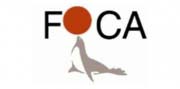 Foca